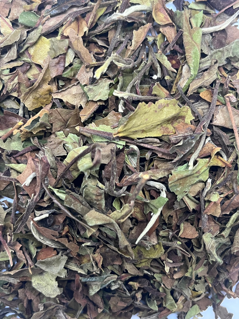 Pai Mu Tan