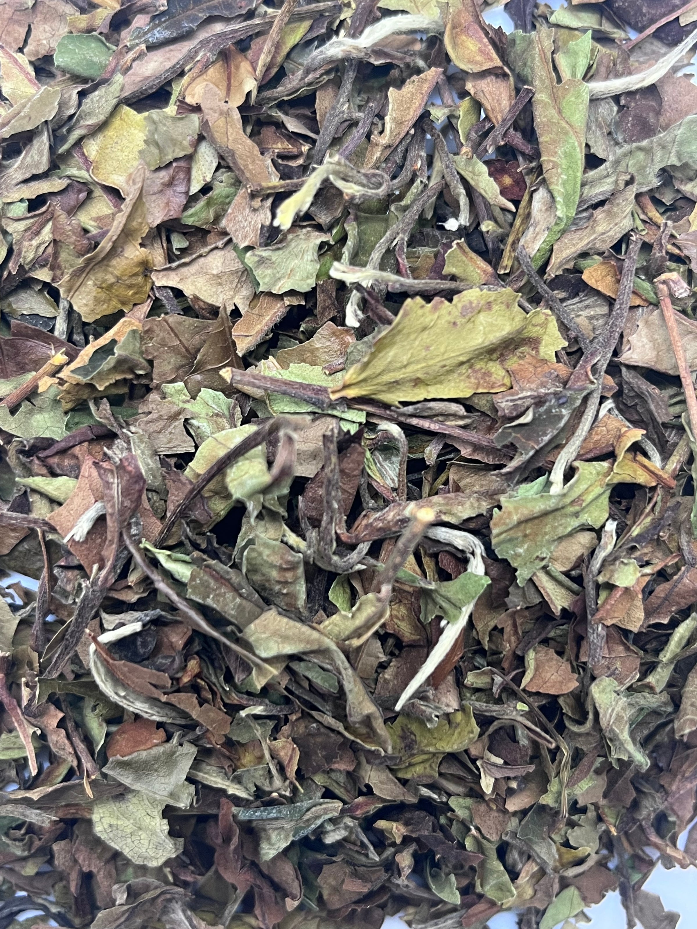 Pai Mu Tan