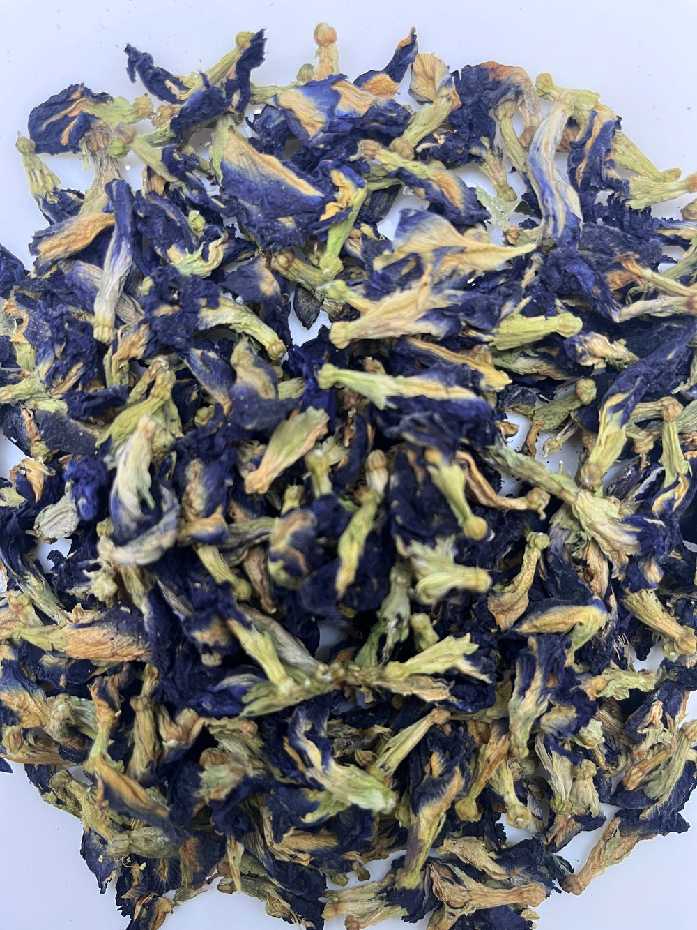 Blue Butterfly Pea